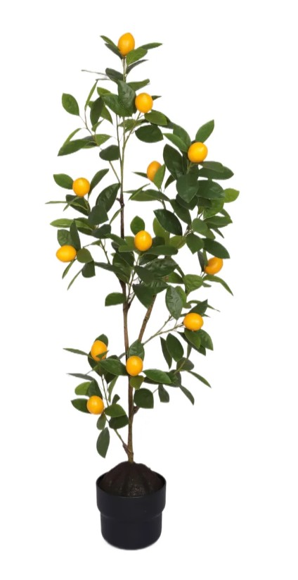 PLANTA LIMONERO 100 CM