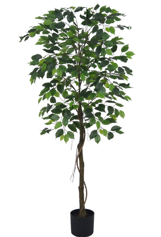 PLANTA ARTIFICIAL FICUS BENJAMINA 160 CM