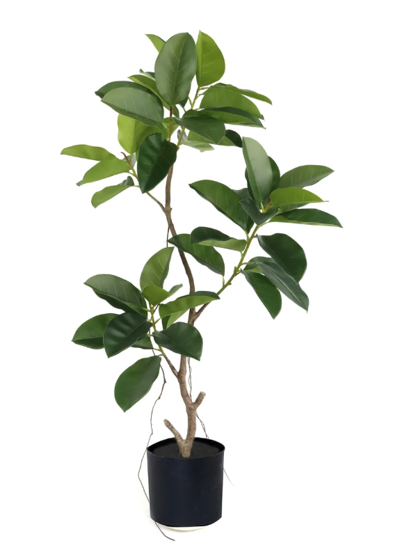 PLANTA ARTIFICIAL FICUS - GOMERO 150 CM