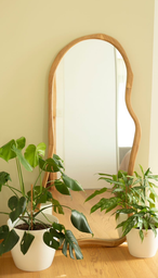 ESPEJO YUCO GRANDE PETIRIBI 4 MM  160x70