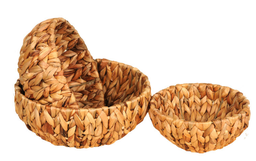 CENTRO DE JACINTO D20